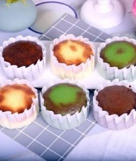 Squishy Dessert Toy – Basque Cheesecake (MT-H)