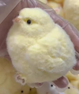 Big Yellow Chicken